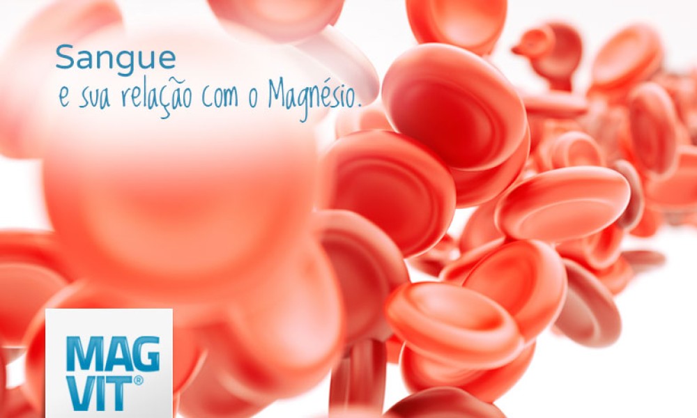 Magnésio e o sangue: confira tudo sobre o líquido da vida e a sua relação com o mineral.