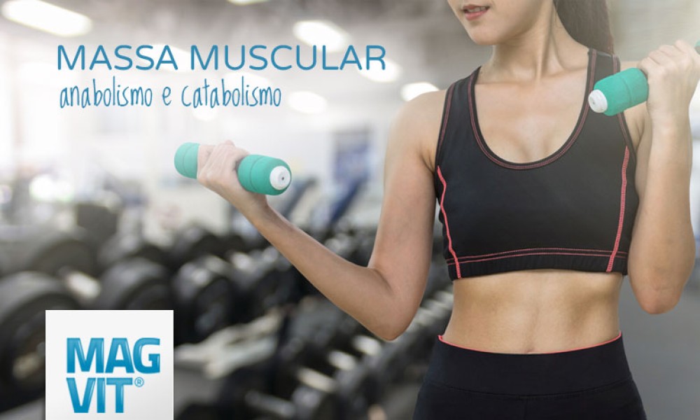 Ganhar massa muscular: a primeira dica é esquecer a palavra ganhar.