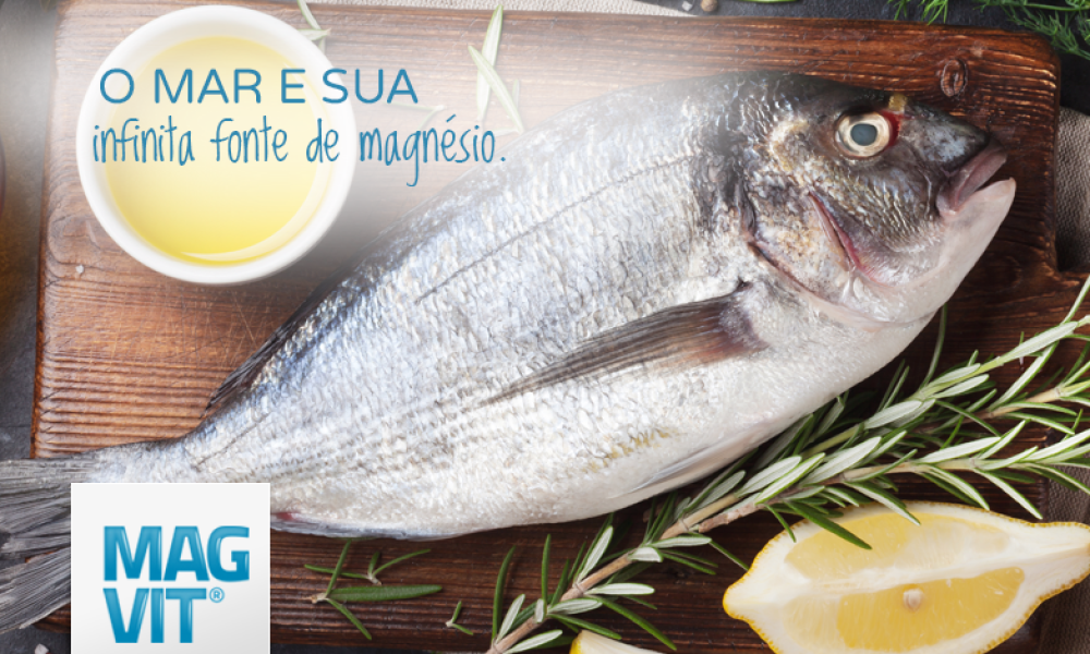 O mar é uma mina infinita de magnésio e o peixe é uma das formas onde podemos extraí-lo.