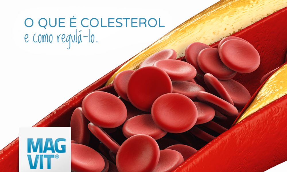 O que é Colesterol, por que é perigoso e como evitar os problemas causados por ele?
