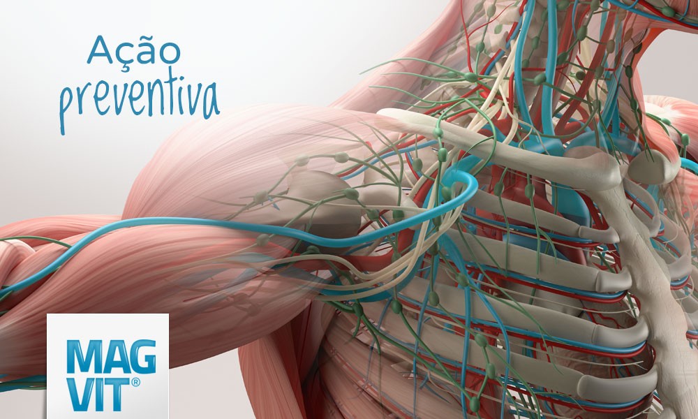 Magnésio atua diretamente nos ossos, tecidos e músculos do corpo humano