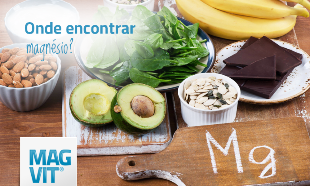 Alimentos que contém magnésio abacate, sementes e alimentos saudáveis que fornecem magnésio